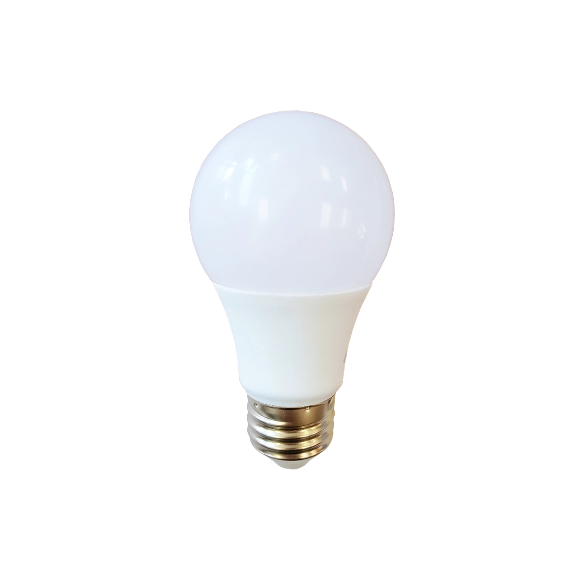 Type A LED Bulbs