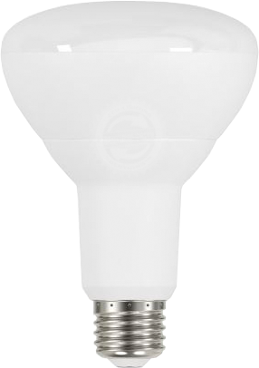 Eco Type-BR LED Bulbs